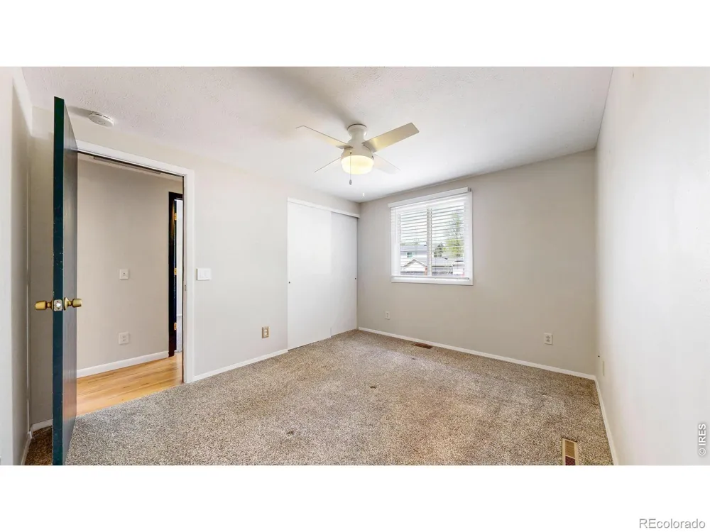 1624 Enfield Street Fort Collins, CO 80526