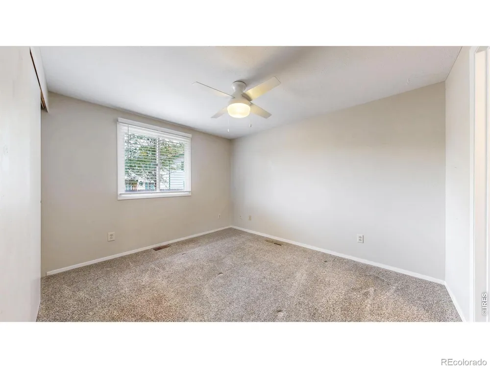 1624 Enfield Street Fort Collins, CO 80526