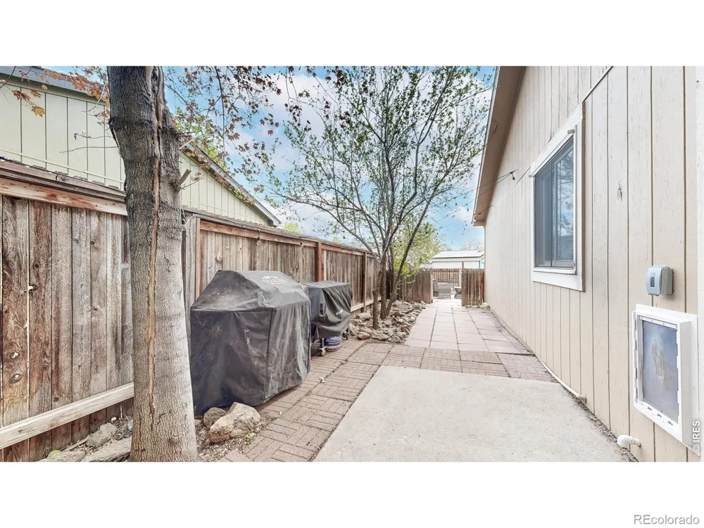 1624 Enfield Street Fort Collins, CO 80526