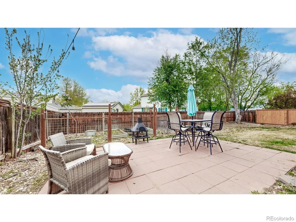 1624 Enfield Street Fort Collins, CO 80526