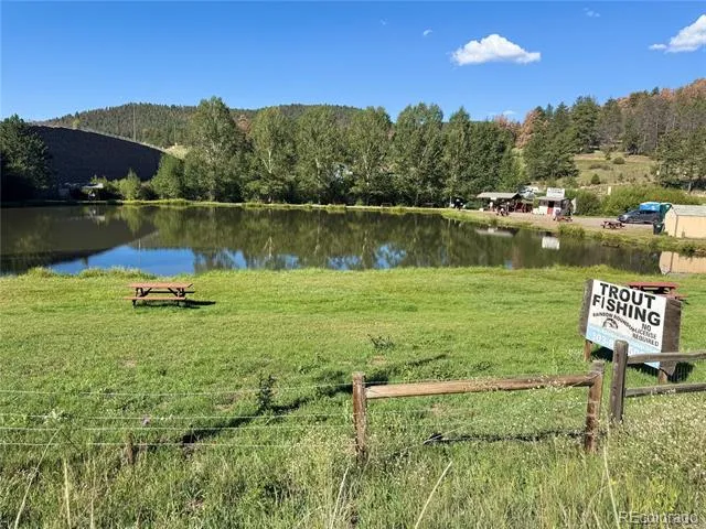 33508 Persistence Avenue Pine, CO 80470