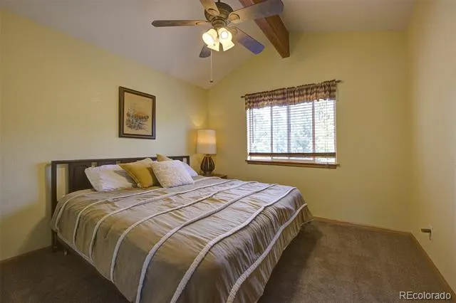 33508 Persistence Avenue Pine, CO 80470