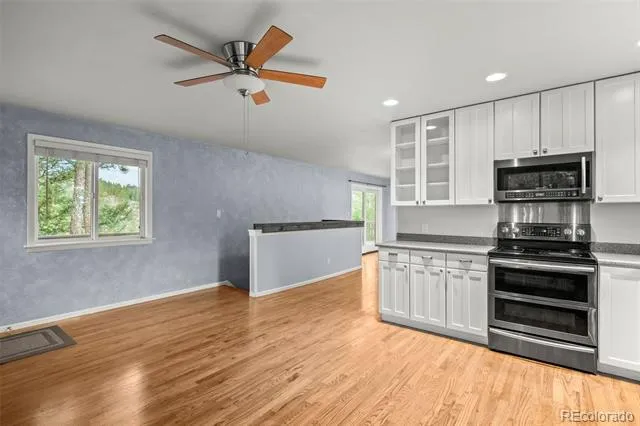 33678 Jenifer Road Pine, CO 80470