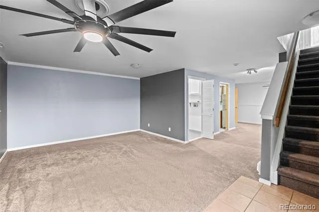 33678 Jenifer Road Pine, CO 80470