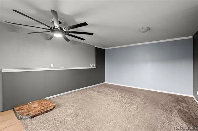 33678 Jenifer Road Pine, CO 80470