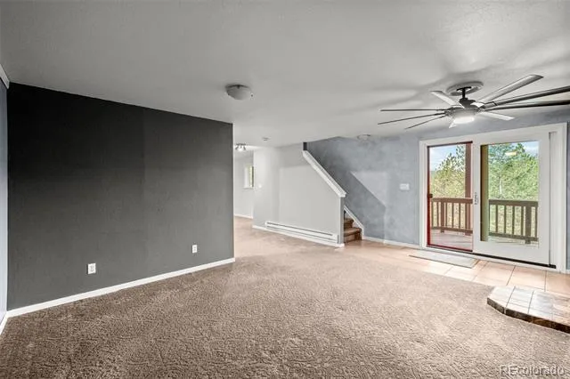 33678 Jenifer Road Pine, CO 80470