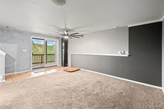 33678 Jenifer Road Pine, CO 80470