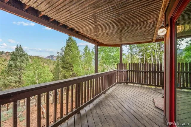 33678 Jenifer Road Pine, CO 80470