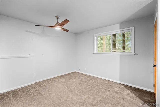 33678 Jenifer Road Pine, CO 80470