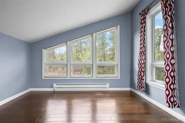 33678 Jenifer Road Pine, CO 80470