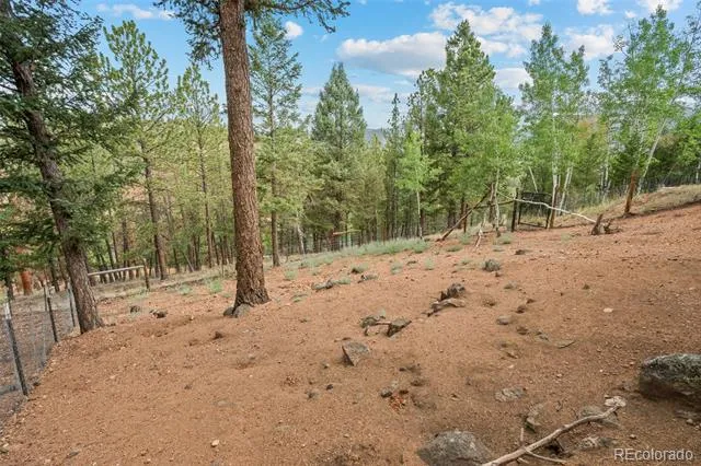 33678 Jenifer Road Pine, CO 80470