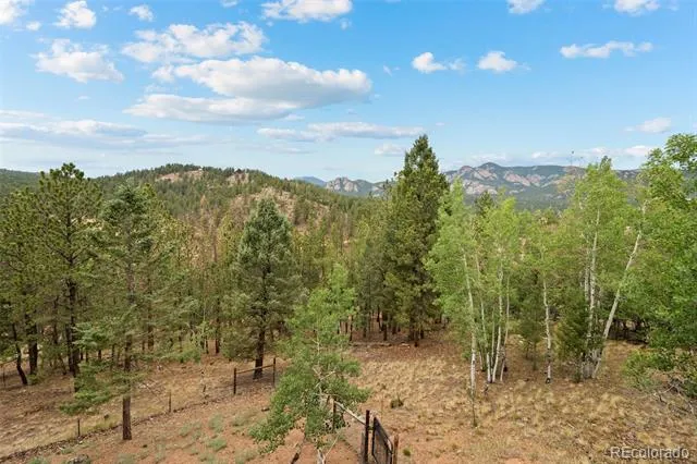33678 Jenifer Road Pine, CO 80470