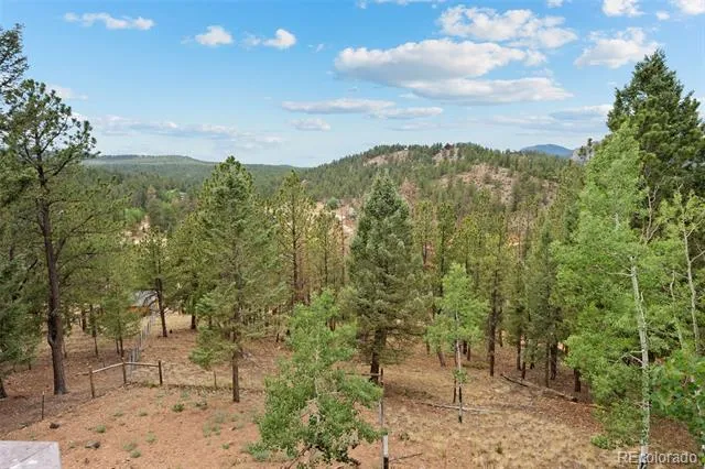 33678 Jenifer Road Pine, CO 80470