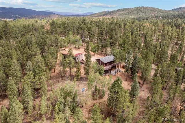 33678 Jenifer Road Pine, CO 80470