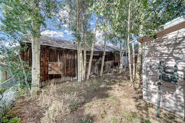 324 Elm Street Leadville, CO 80461