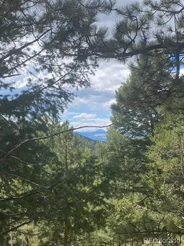 216 & 252 Troy Drive Cripple Creek, CO 80813