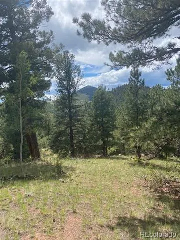 216 & 252 Troy Drive Cripple Creek, CO 80813