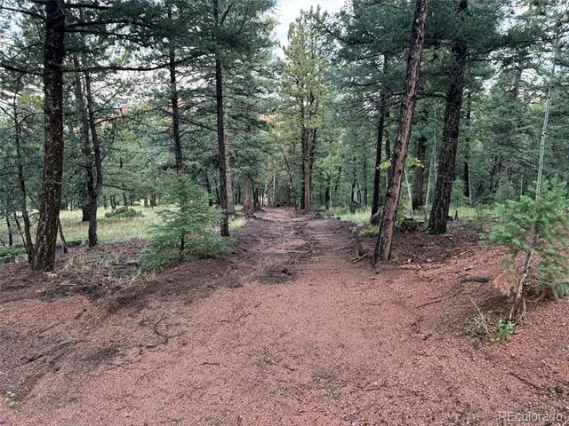 216 & 252 Troy Drive Cripple Creek, CO 80813