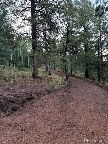 216 & 252 Troy Drive Cripple Creek, CO 80813