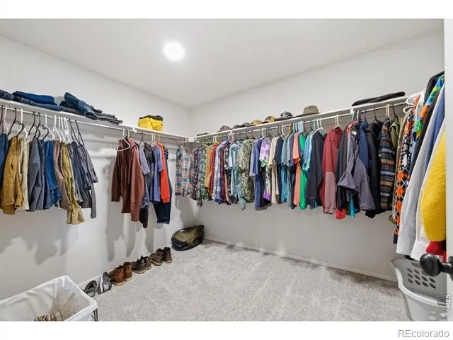 2939 Coleman Street Fort Collins, CO 80524