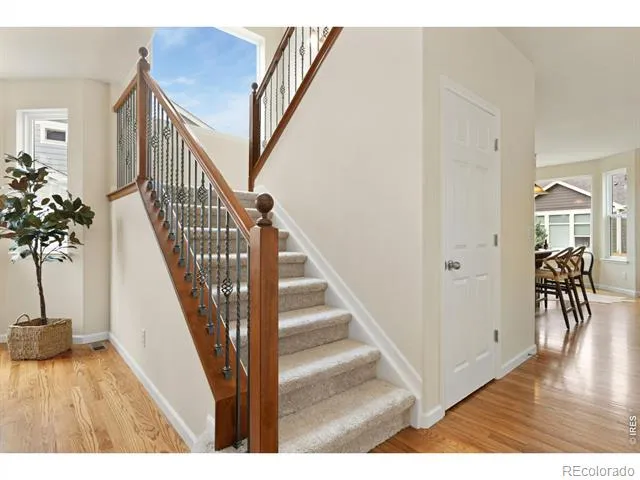 5415 Brookline Drive Timnath, CO 80547