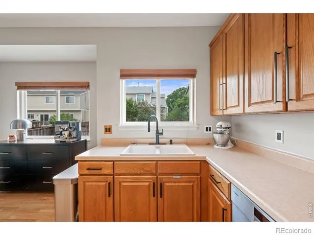 1181 Riddlewood Road Highlands Ranch, CO 80129