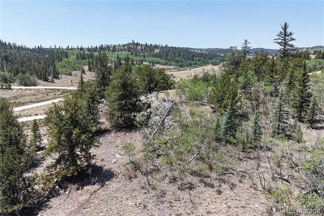 4546 Remington Road Como, CO 80456