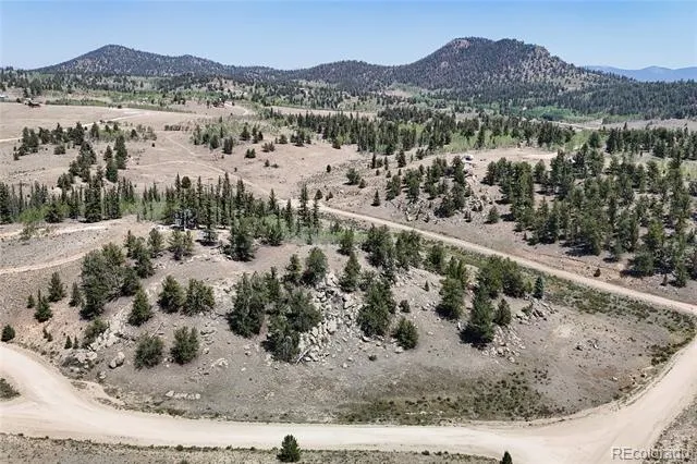 4546 Remington Road Como, CO 80456