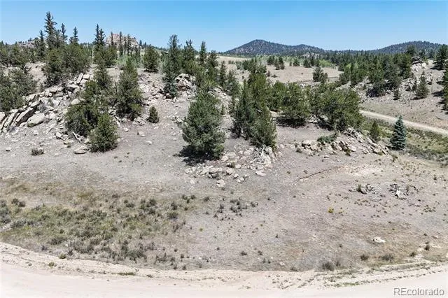 4546 Remington Road Como, CO 80456