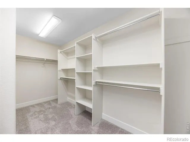 1555 Benfleet Court Windsor, CO 80550