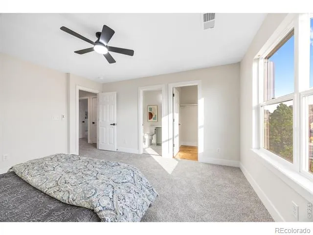 1555 Benfleet Court Windsor, CO 80550
