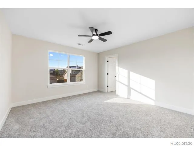 1555 Benfleet Court Windsor, CO 80550
