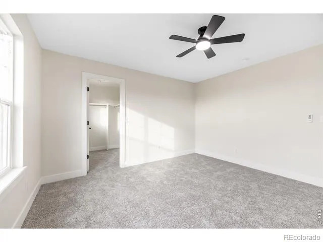 1555 Benfleet Court Windsor, CO 80550