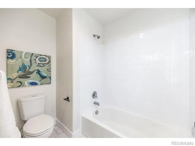 1555 Benfleet Court Windsor, CO 80550