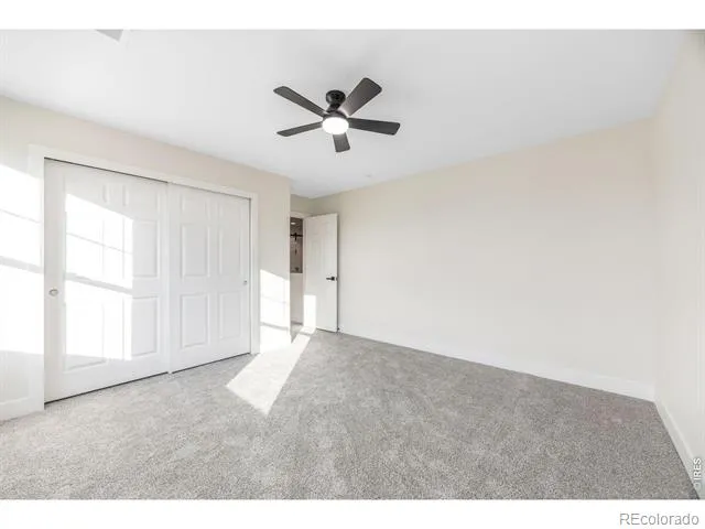 1555 Benfleet Court Windsor, CO 80550