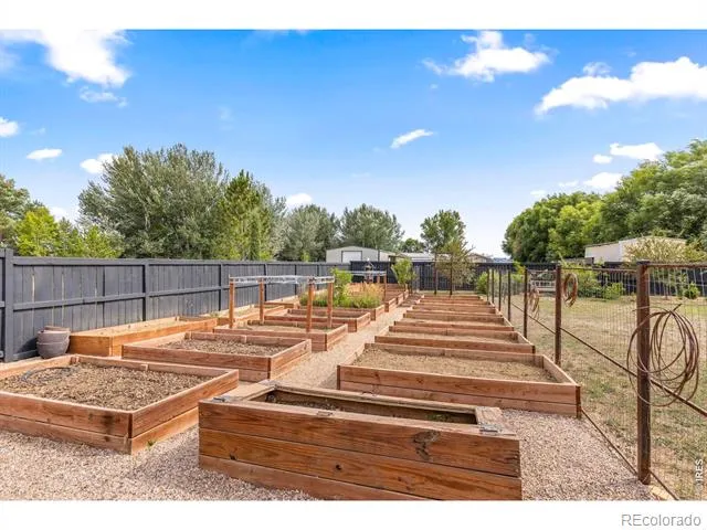 2657 Peregrine Creek Drive Milliken, CO 80543