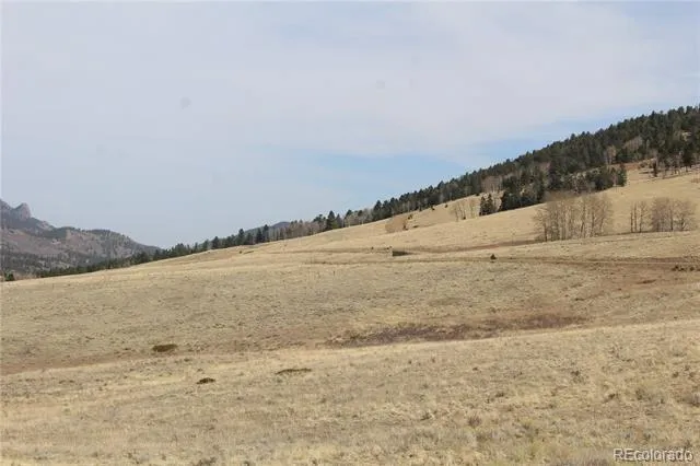 1115 Eagles Gate Road Westcliffe, CO 81252