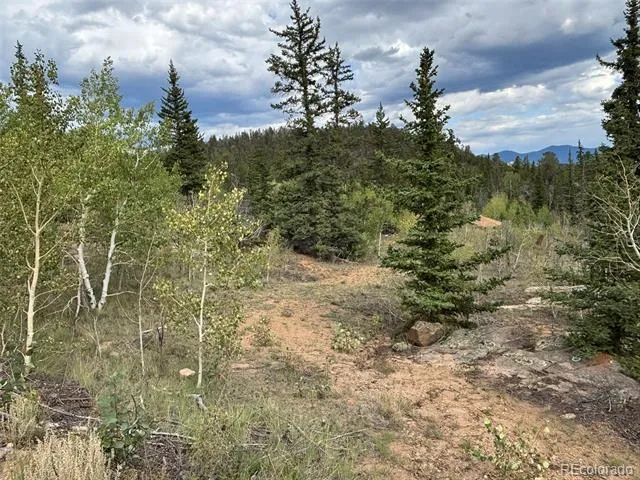 150 Ambush Lane Jefferson, CO 80456
