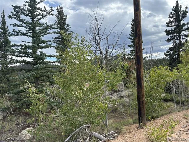 150 Ambush Lane Jefferson, CO 80456