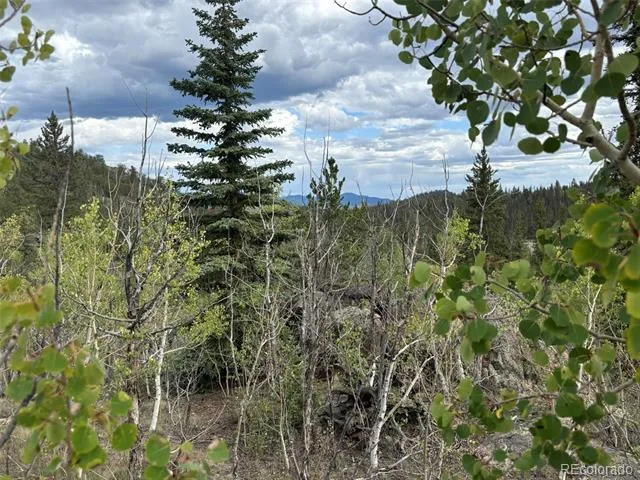 150 Ambush Lane Jefferson, CO 80456