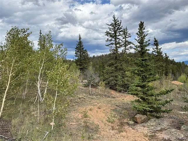 150 Ambush Lane Jefferson, CO 80456