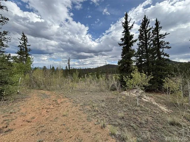 150 Ambush Lane Jefferson, CO 80456