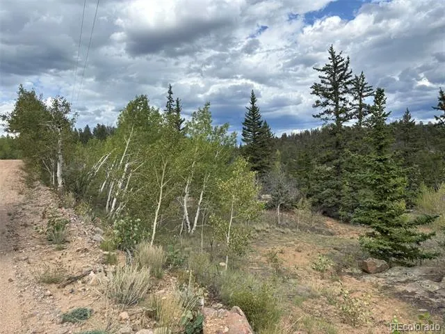 150 Ambush Lane Jefferson, CO 80456