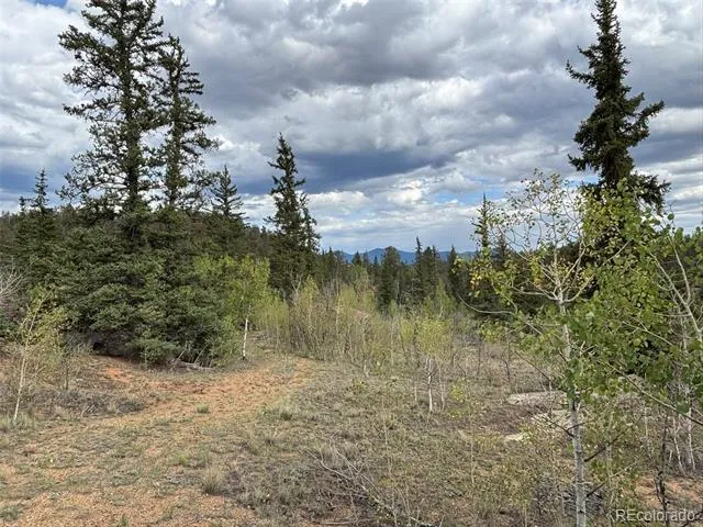 150 Ambush Lane Jefferson, CO 80456