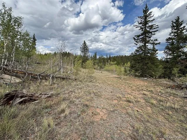 150 Ambush Lane Jefferson, CO 80456