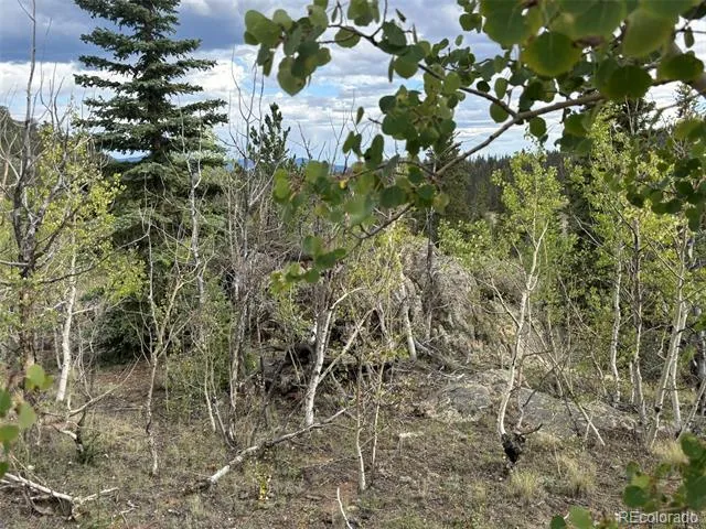 150 Ambush Lane Jefferson, CO 80456