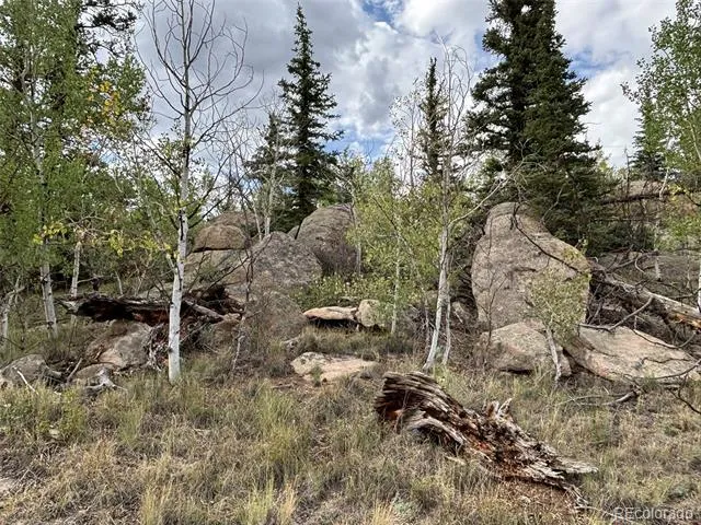 150 Ambush Lane Jefferson, CO 80456