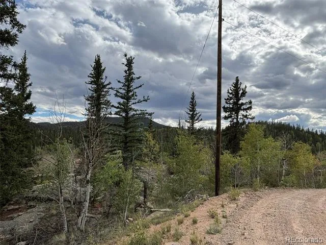 150 Ambush Lane Jefferson, CO 80456