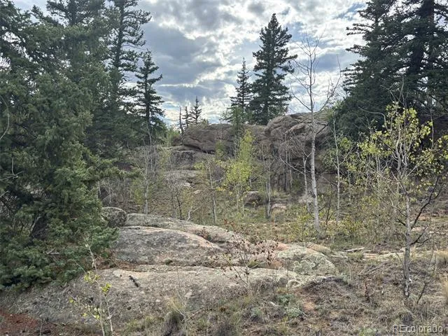 150 Ambush Lane Jefferson, CO 80456