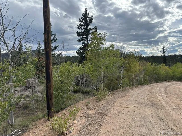 150 Ambush Lane Jefferson, CO 80456